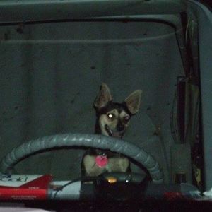 Meet your Posher, Keith